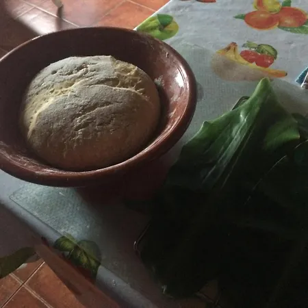 Casa Do Tio Joao *